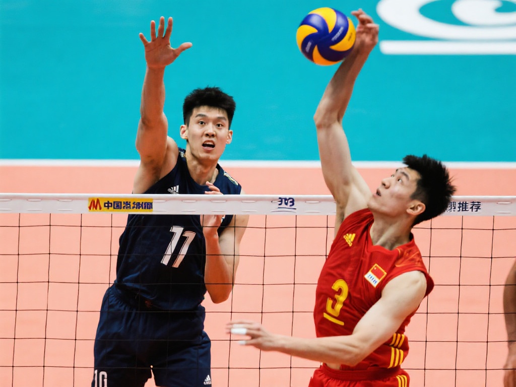 球员的职业 球员的职业